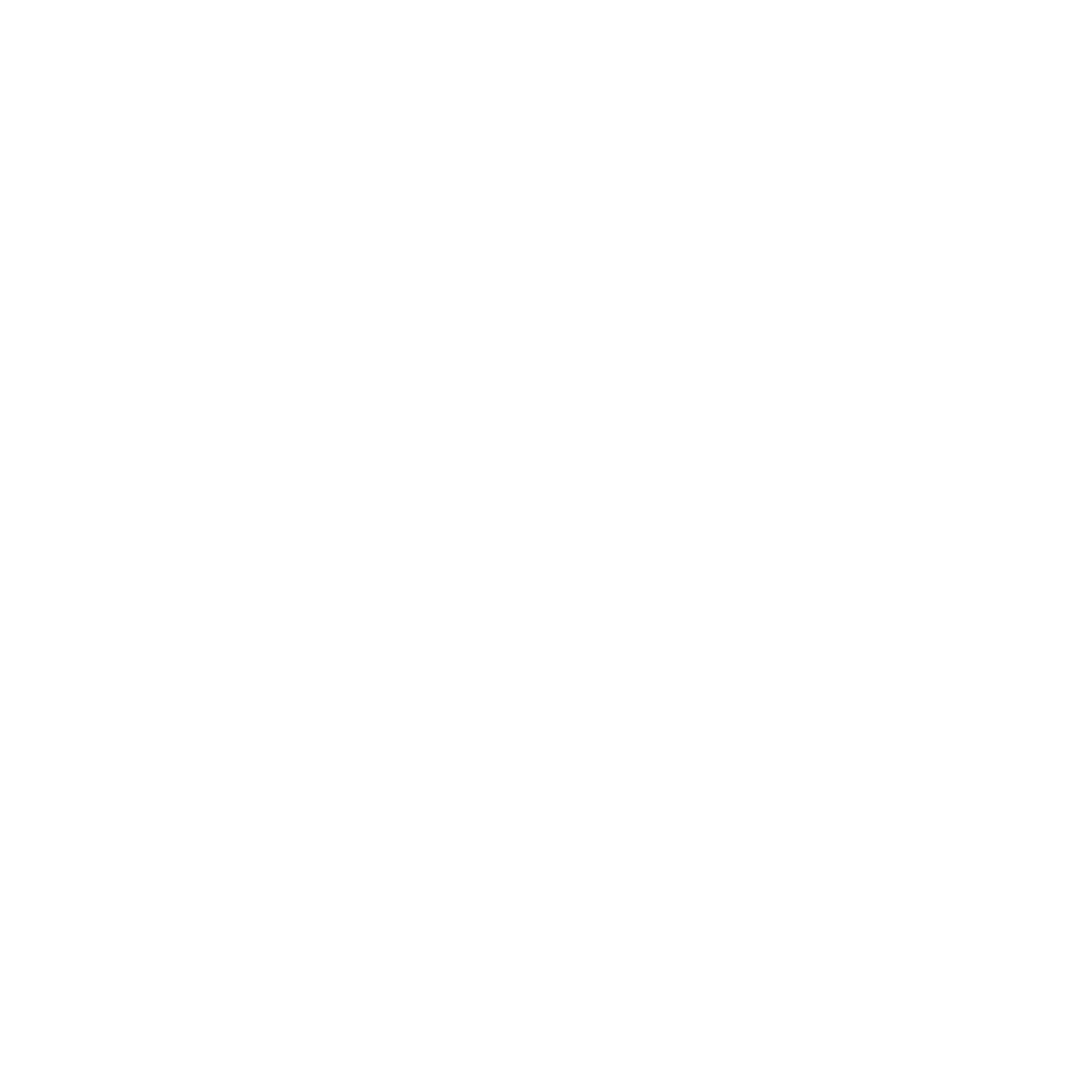 Government Accelerators