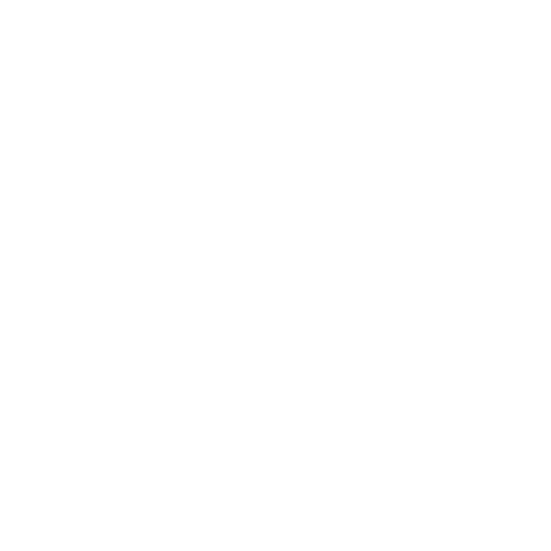 Dubai Police