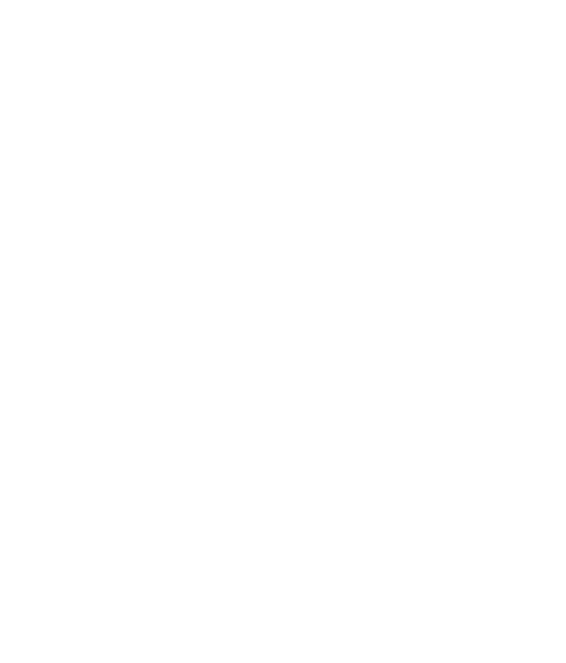 Dubai The Capital of Arab Media 